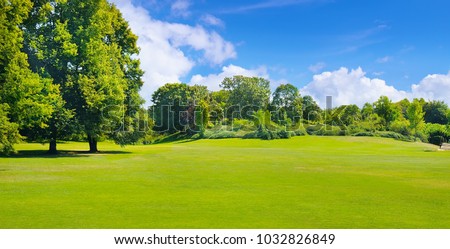 Summer park with deciduous trees and broad lawns. In the blue sky, light cumulus clouds. Wide photo.