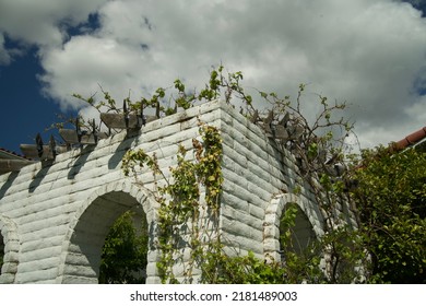 Summer Park In Layton, Utah