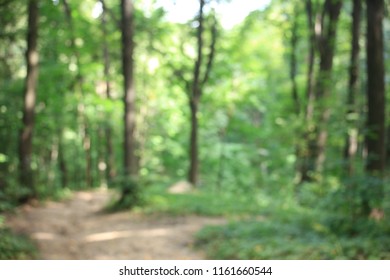 Summer Park nature city Moscow blur
 - Shutterstock ID 1161660544