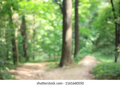 Summer Park nature city Moscow blur
 - Shutterstock ID 1161660550