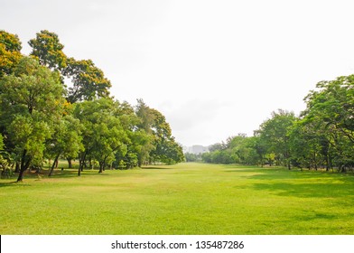 Summer Park, Trees