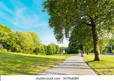 Summer In The Park Trees Alley