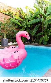 Summer Party. The Inflatable Circle - Pink Flamingo. A Feast In The Pool. No People