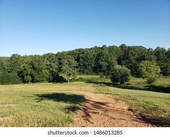 Summer path into the forest