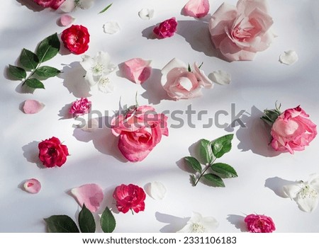 Summer pattern made of beautiful rose buds on white background with shadow. Nature concept. Minimal style.
