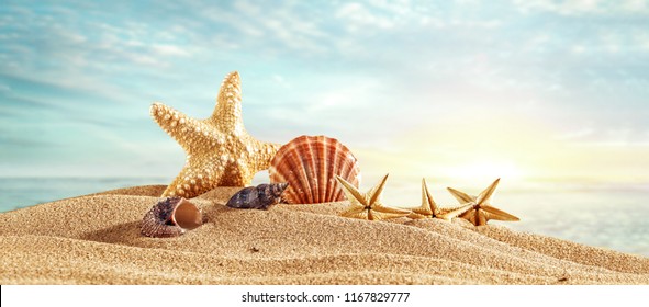 Summer photo of shells on beach and free space for your decoration 