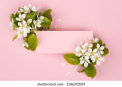 Summer Pink Blank Pad For Text Mockup With White Apple Tree Flowers, Green Leaves, Petals Fly On Pastel Pink Background. Holiday Floral Background For Advertising, Branding Identity, Greeting Card.