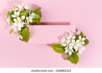 Summer Pink Blank Pad For Text Template With White Apple Tree Flowers, Green Leaves Fly In Hard Light On Pastel Pink. Romantic Floral Background For Advertising, Branding Identity, Greeting Card.