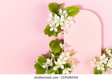 Summer Pink Blank Rounded Arch Card For Text Template With White Apple Tree Flowers Fly In Hard Light On Pastel Pink, Copy Space. Romantic Background For Advertising, Branding Identity, Greeting Card.