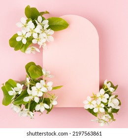 Summer Pink Blank Rounded Arch Card For Text Template With White Apple Tree Flowers Fly On Pastel Pink Background, Square. Romantic Background For Advertising, Branding Identity, Greeting Card, Flyer.