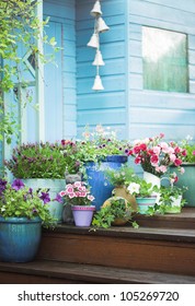 Summer Potted Flowers And Garden Shed