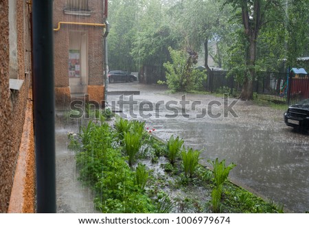 Summer pouring rain in the city. Small courtyard with asphalt way and flowerbed.
