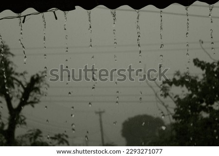 Summer Rain Droplets - Macro Closeup

(Closeup macro of summer rain droplets glistening in fog and black and white)