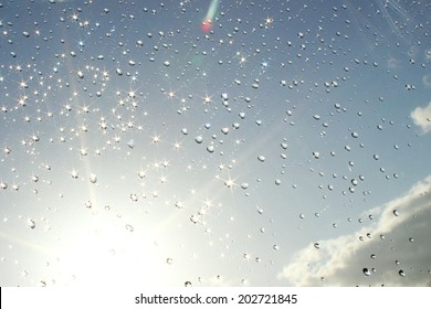 Summer Rain Shower