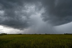 Summer Rain Storm Over Sawgrass Prairie In Everglades National Park, Florida.