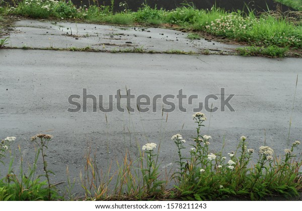 Summer rainy day scenery on the roadside in the\
countryside of Hokkaido,\
Japan