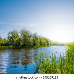 Summer River Scene