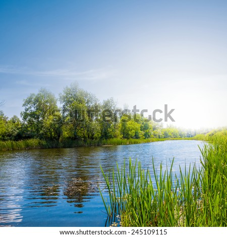 summer river scene