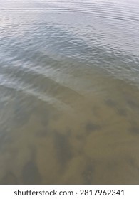 Summer River Surface with Barely Visible Bottom