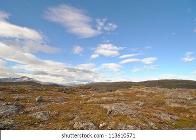 Summer Rocky Mountain Landscape