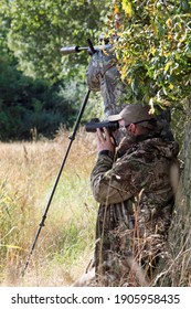 Summer Roe Deer Stalking In Uk