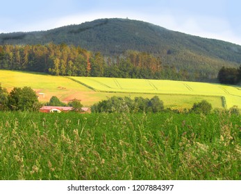 Summer rural hilly landscape with green meadow, yellow fields, view of the mountain called Blanik