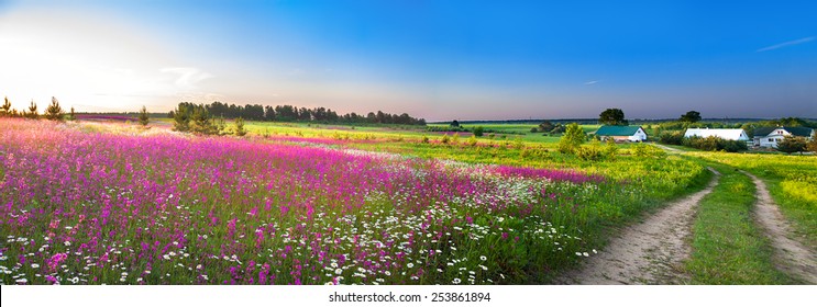 summer rural landscape panorama with a blossoming meadow, the road and a farm