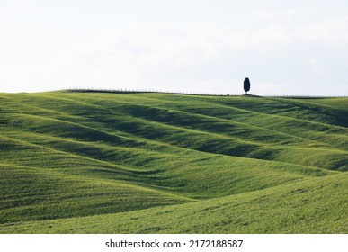 Summer rural landscape of rolling hills in Tuscany, Italy, Europe - Powered by Shutterstock