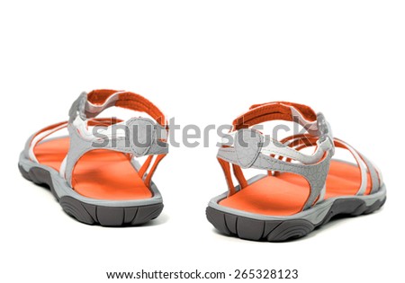 Summer sandals. Isolated on white background. Back view.