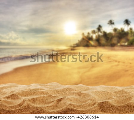 Summer sandy beach with palm trees, free space for product placement