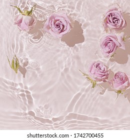 Sommerszene mit rosa Rosenblumen im Wasser. Sonne und Schatten. Minimaler Hintergrund