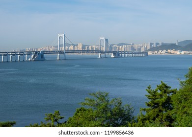 Summer Scenery Of Dalian Binhai Road