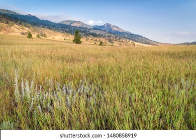 Summer Scenery Of Rocky Mountains Foothills, Lory State Park In Northern Colorado