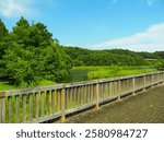 Summer scenery of wooden bridge, gazebo and pond in 21st century forest and square