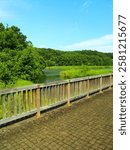 Summer scenery of wooden bridge, gazebo and pond in 21st century forest and