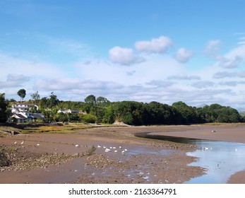 Summer Scenic View Of The Beach At Ulverston In Cumbria At Low Tide With Houses And Trees Along Shore And Swans On The Sand