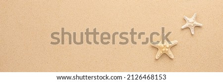 Summer sea or beach concept. Starfishes on sand. Top view. Copy space. Banner.