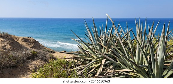 Summer seascape with top sea view from sandy coastal cliffs with agave plants, blue water, blue sky, sandy beach - Powered by Shutterstock