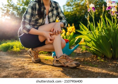 Summer season. Woman scratches her leg, which is itchy from a mosquito bite. Close up of legs. Outdoor. Allergies and insect bites concept.