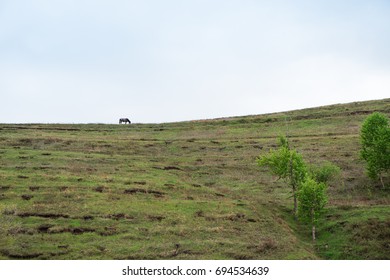 Summer slopes.