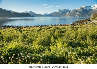 Summer Splendor in Haines, Alaska: Capturing Nature's Beauty, Chilkoot Inlet, bay