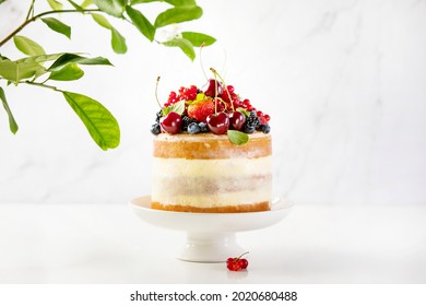 Summer Sponge Cake Decorated With Fresh Berries, Front View