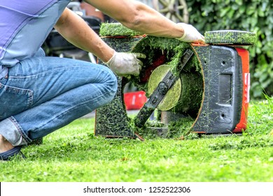 Summer And Spring Season Sunny Lawn Mowing In The Garden