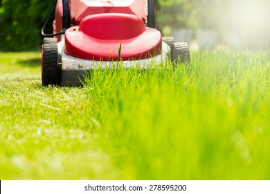 Summer And Spring Season Sunny Lawn Mowing In The Garden.