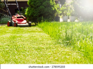 Summer And Spring Season Sunny Lawn Mowing In The Garden.