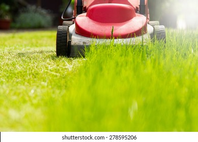 Summer And Spring Season Sunny Lawn Mowing In The Garden.