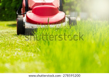 Summer and spring season sunny lawn mowing in the garden. 商業照片 © 