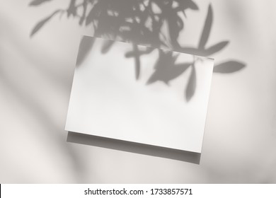 Summer Stationery Still Life Scene. Close-up Of Blank Paper, Greeting Card Mock-up. Trendy Olive Tree Branches Long Shadows. White Table Background In Sunlight. Flat Lay, Top View.Empty Copyspace.