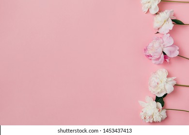 Summer subject photography. Peonies on a pink background - Shutterstock ID 1453437413