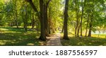 Summer sunny landscape with stone tile road passing between the old trees in shady park